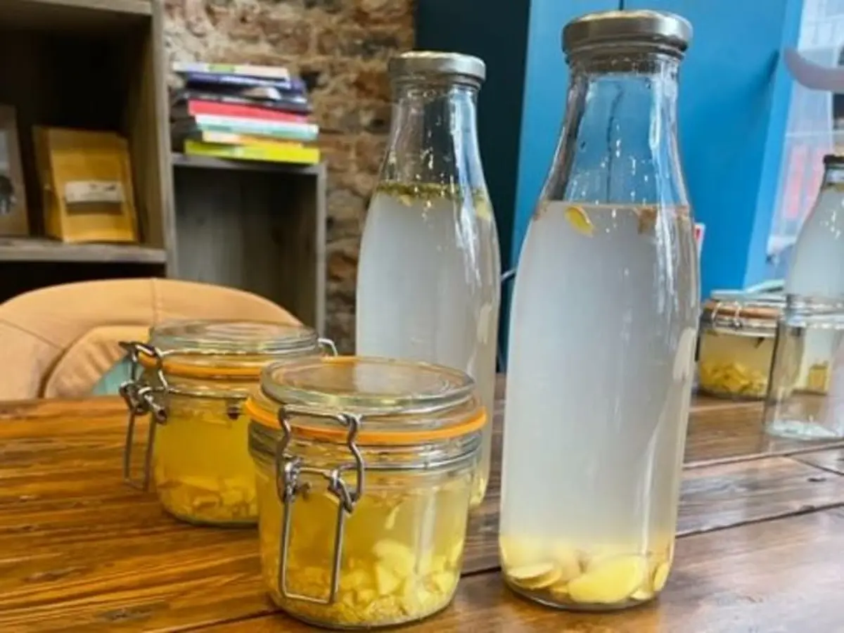 Atelier fermentation de Ginger beer à Paris 20ème