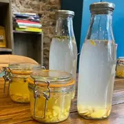 Atelier fermentation de Ginger beer à Paris 20ème