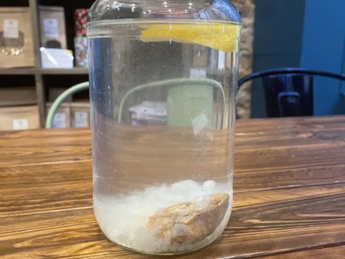 Atelier fermentation de Kéfir à Paris 20ème