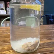 Atelier fermentation de Kéfir à Paris 20ème