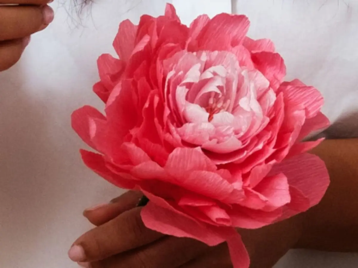 Atelier Fleur en papier crépon à Marseille 6ème