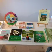 Atelier fleurs de Bach les émotions dans la maladie