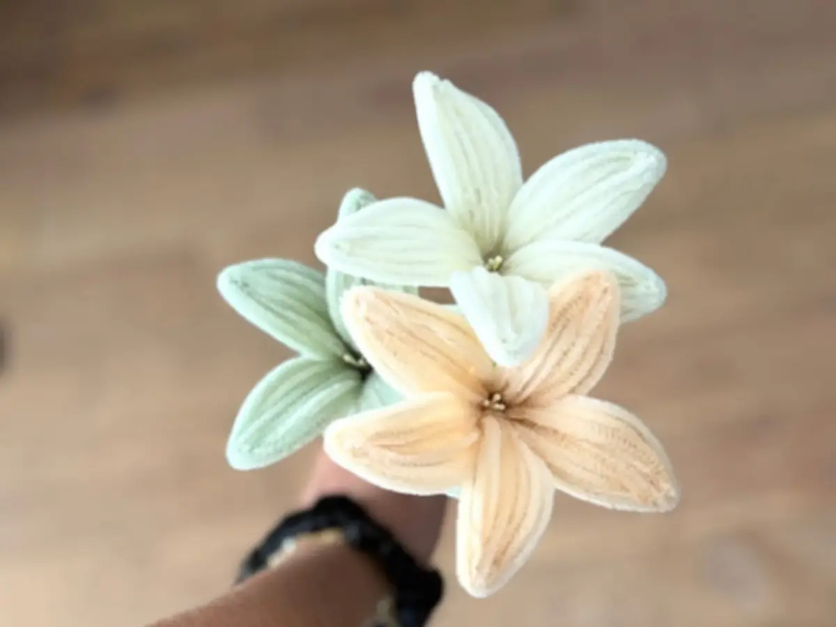 Atelier fleurs en fil chenille à Nantes Nord (44)