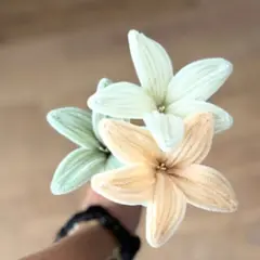 Atelier fleurs en fil chenille à Nantes Nord (44)