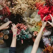 Atelier fleurs séchées à Famars (59)