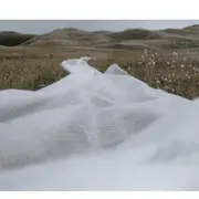 Atelier | Fresque du plastique