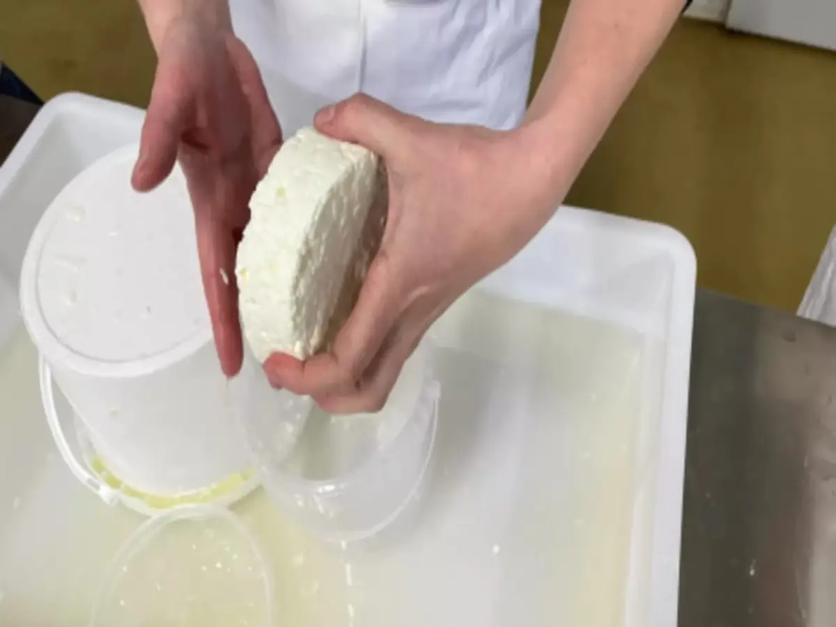 Atelier fromage fermier à Ozouer-le-Voulgis (77)