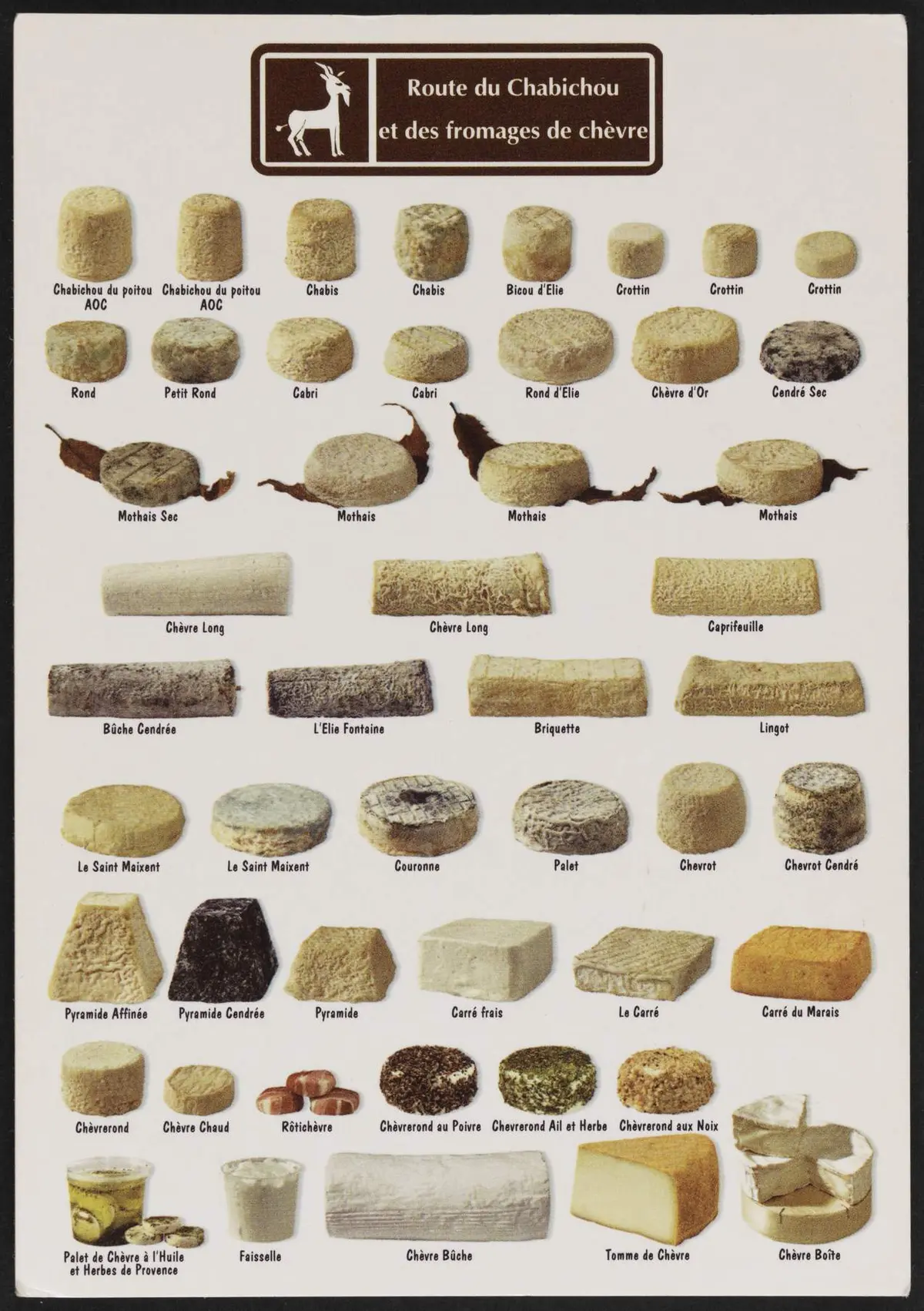 Atelier fromages de chèvre aux Archives départementales des Deux-Sèvres à Niort