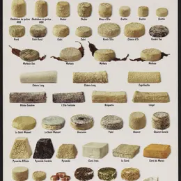 Atelier fromages de chèvre aux Archives départementales des Deux-Sèvres à Niort
