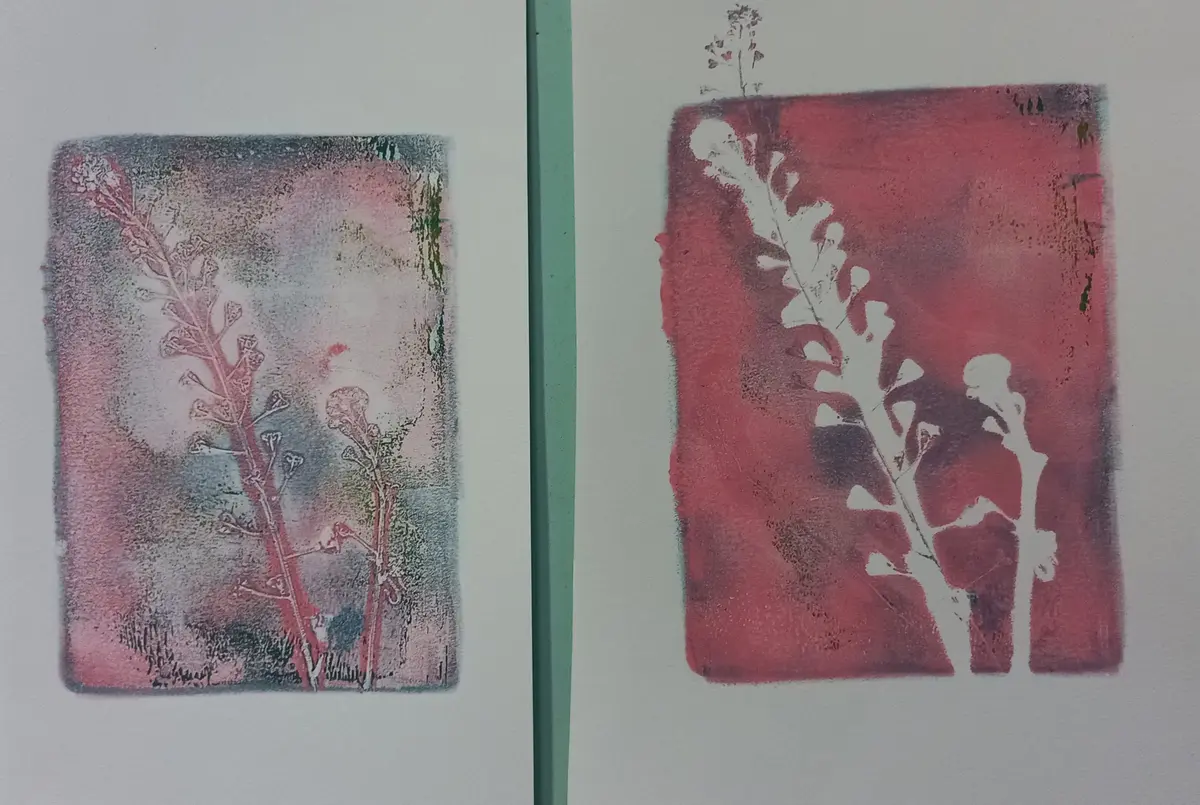 Atelier Gelly Print (impression végétale)  - Atelier pour les 7/12 ans
