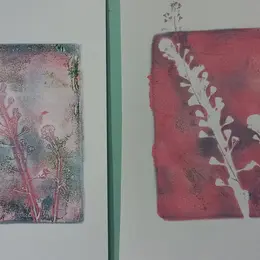 Atelier Gelly Print (impression végétale)  - Atelier pour les 7/12 ans