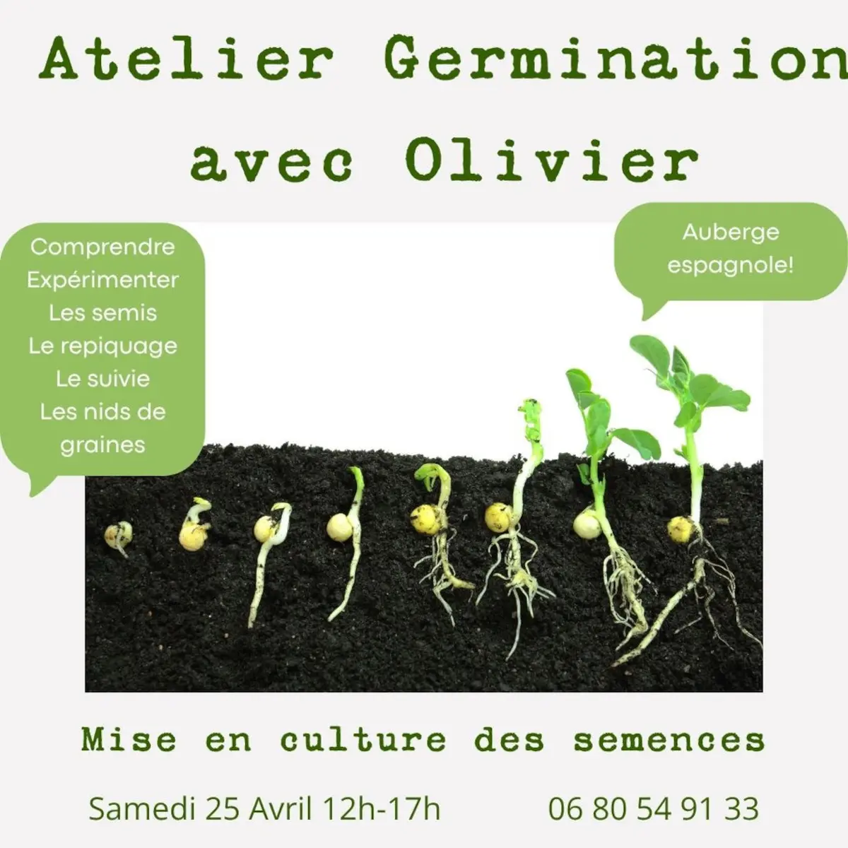 Atelier germination