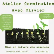 Atelier germination