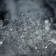 Atelier gestion et entretien des cours d'eau