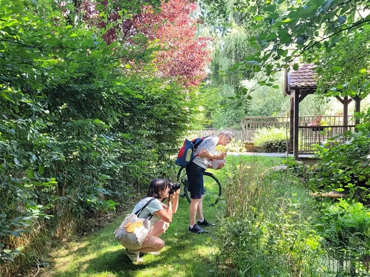 Atelier Graines de soi