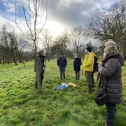 Atelier greffe de pommiers