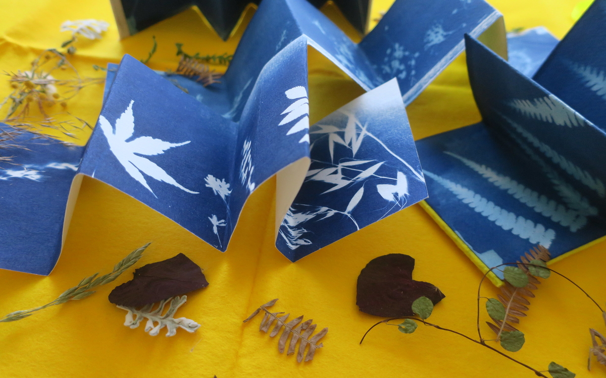 orihon en cyanotype