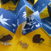 Atelier haïkus et cyanotypes