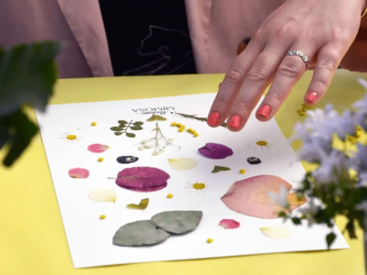 Atelier herbier à Ollioules (83)