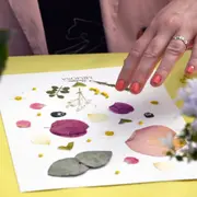 Atelier herbier à Ollioules (83)