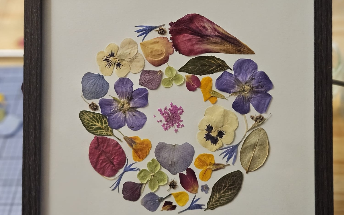 Réalisez un herbier de fleurs pressées françaises