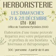 Atelier Herboristerie