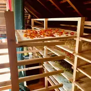 Atelier Herboristerie