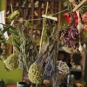 Atelier Herboristerie du Printemps