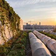 Atelier houblon sur les toits de l’Opéra Bastille à Paris 12ème