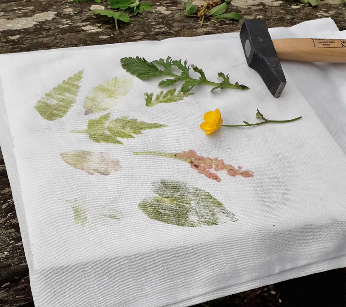 Atelier Impression végétale