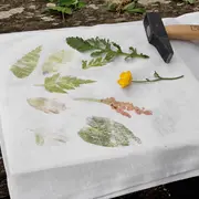 Atelier Impression végétale