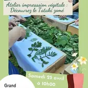 Atelier impression végétale : Découvrez le Tataki zomé