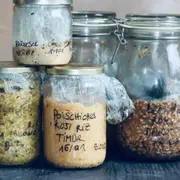 Atelier initiation à la fermentation japonaise à Toulouse (31)