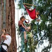 Atelier initiation à la grimpe d'arbre