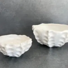 Atelier initiation à la porcelaine papier à Saint-Brès (34)
