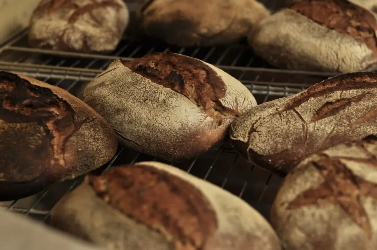 Atelier initiation fabrication pain au levain et balade en forêt