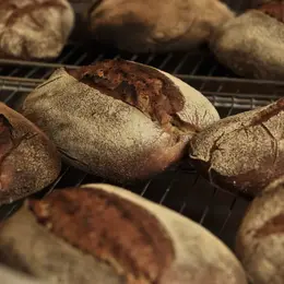Atelier initiation fabrication pain au levain et balade en forêt