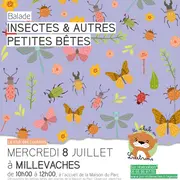 Atelier insectes et autres petites bêtes