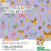 Atelier insectes et autres petites bêtes