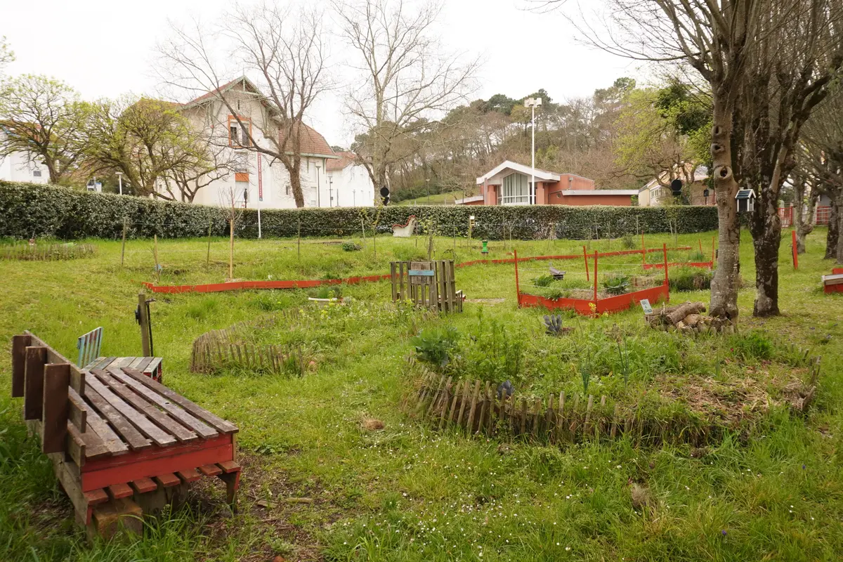 Atelier Jardin Partagé des 4 saisons