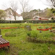 Atelier Jardin Partagé des 4 saisons