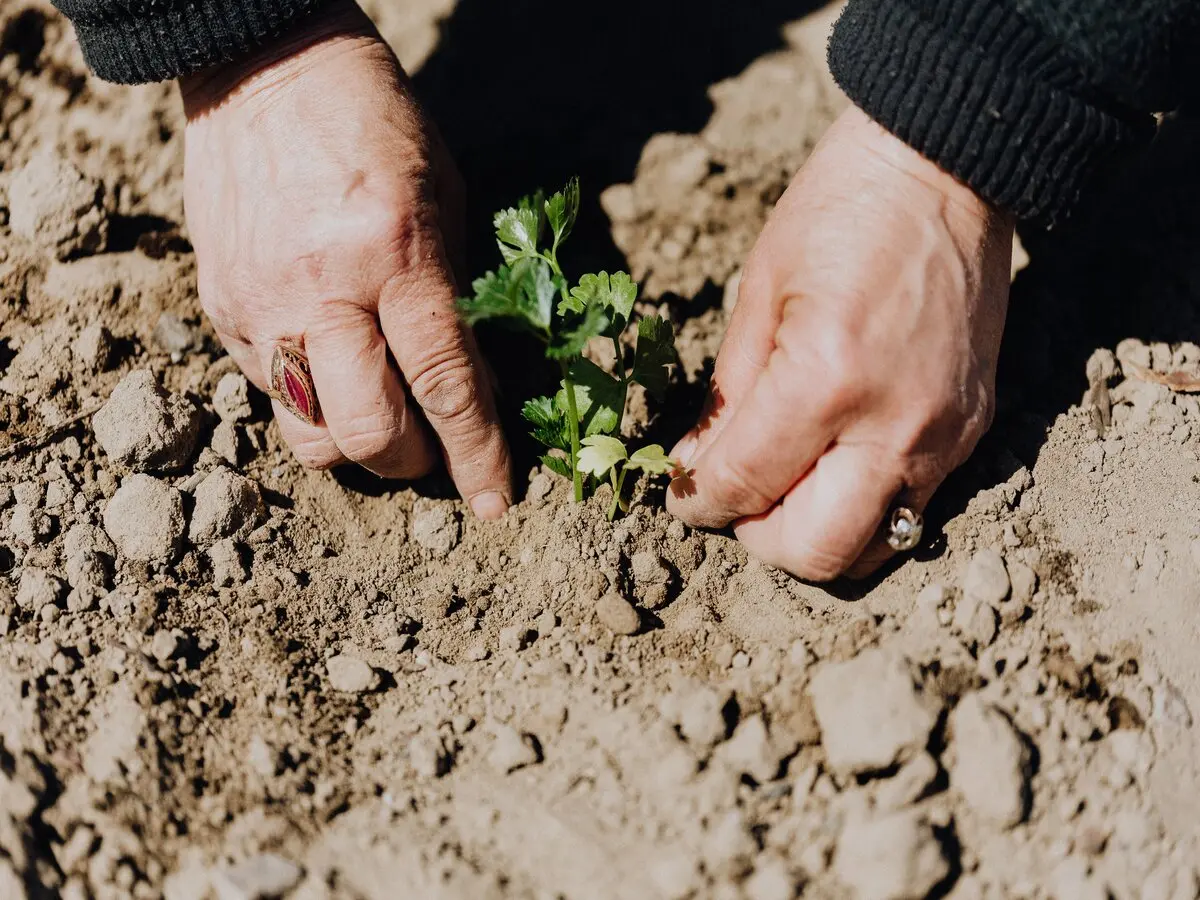 Atelier jardinage