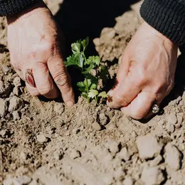 Atelier jardinage