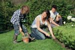 Des ateliers jardinage pour apprendre à s\'occuper de son jardin en famille