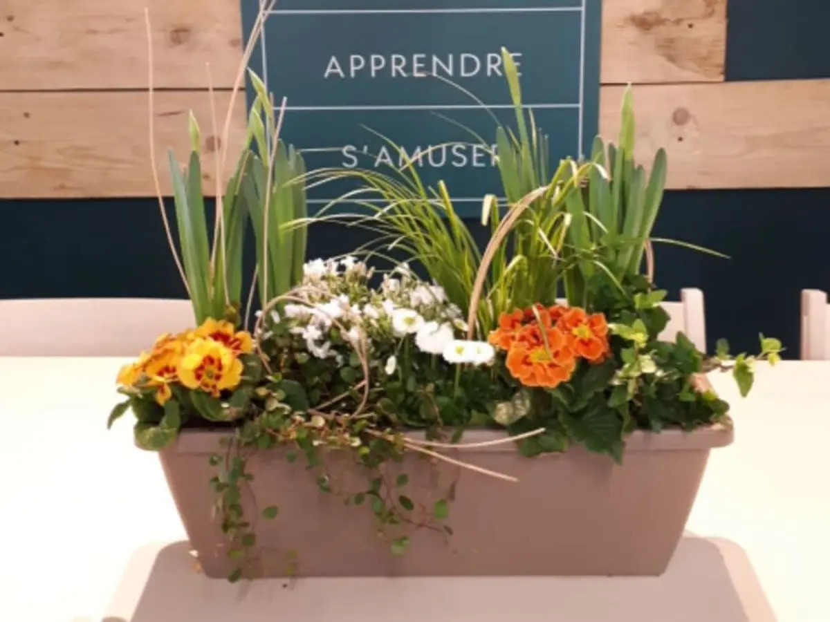 Atelier jardinière de saison chez Truffaut Orvault