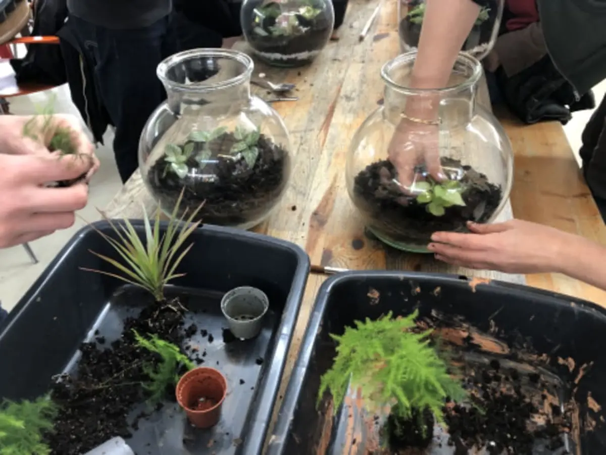 Atelier Je crée mon terrarium à Villejuif
