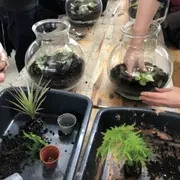 Atelier Je crée mon terrarium à Villejuif