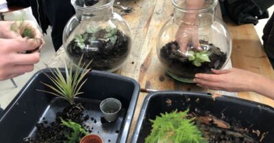 Atelier "Je cr&eacute;e mon terrarium" &agrave; Villejuif