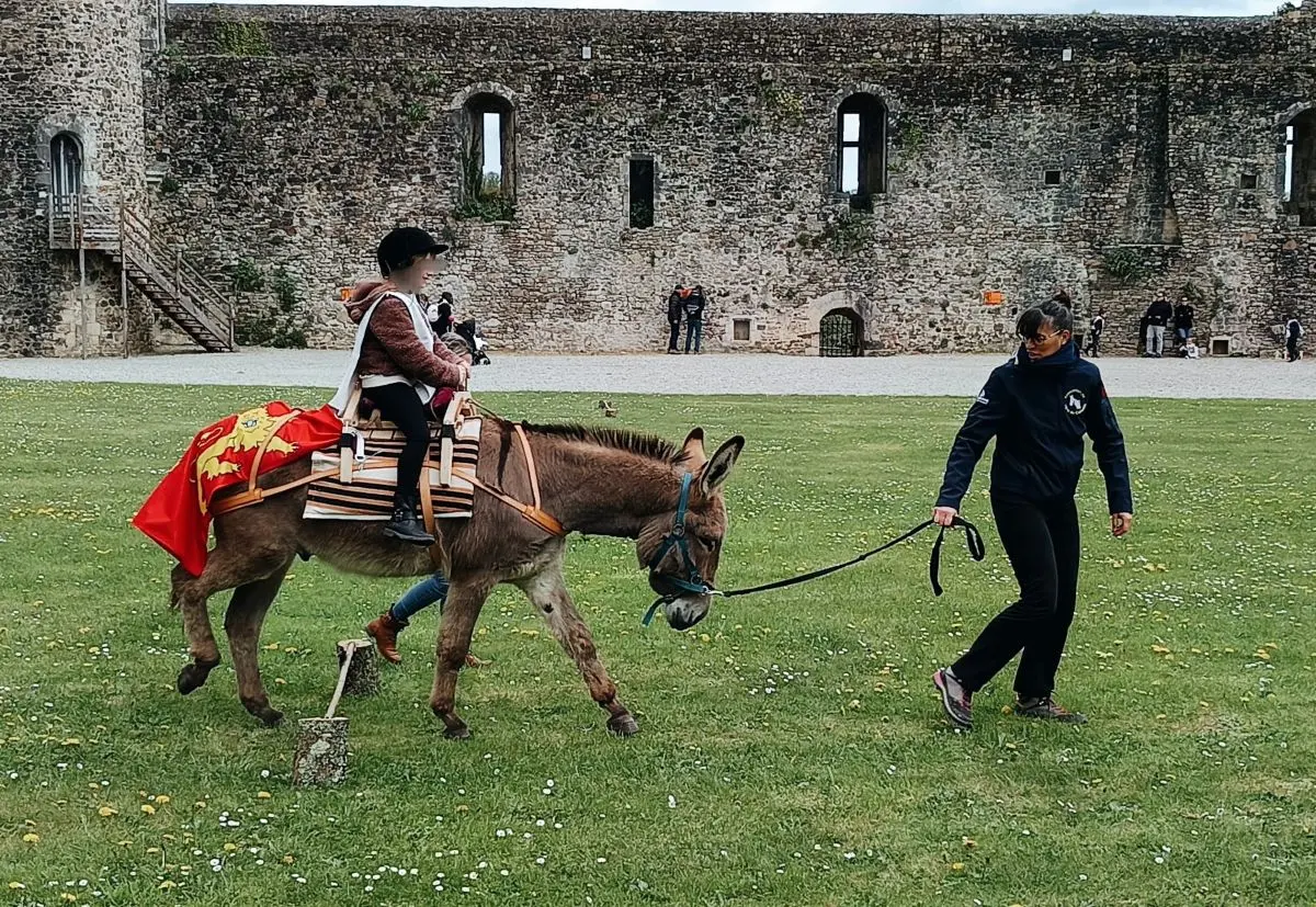 Atelier jeune public : Les Olympiades du Moyen-âge
