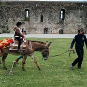 Atelier jeune public : Les Olympiades du Moyen-âge